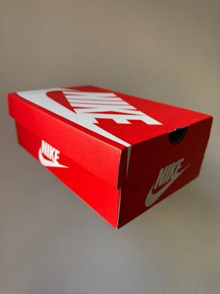 Nike Dunk Low Desert Ochre [36.5]