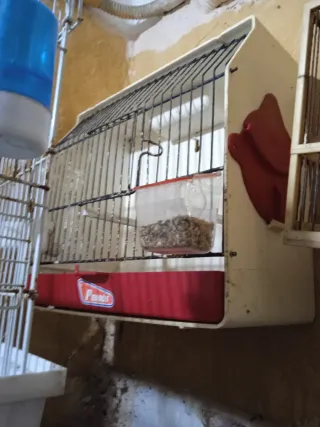 Jaula para pájaros marrón y azul cada una tiene su