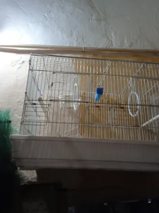 Jaula para pájaros marrón y azul cada una tiene su