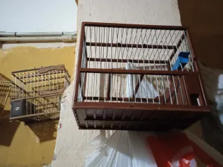 Jaula para pájaros marrón y azul cada una tiene su