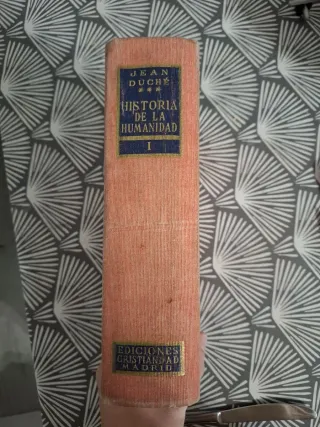 Historia de la humanidad I El animal vertical 1964