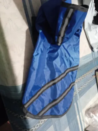 Traje impermeable para perro