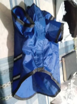 Traje impermeable para perro