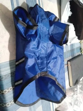 Traje impermeable para perro
