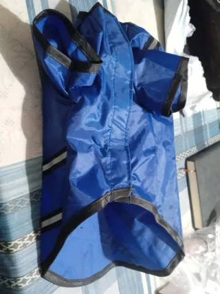 Traje impermeable para perro