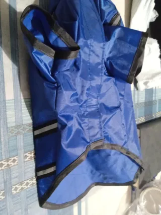 Traje impermeable para perro