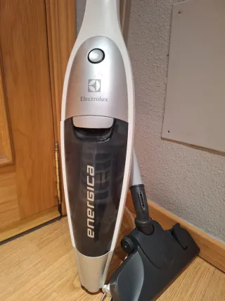 Aspiradora Electrolux Energica 700W Modelo ZS220A