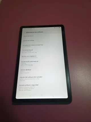 Samsung Tab S6 Lite con S Pen