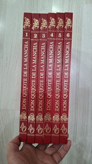 Lote de Libros "Don Quijote de la Mancha"
