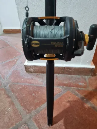 2 Cañas de Pesca Penn Ally 2 Barco,precio(2 cañas)