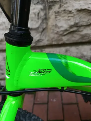 Bicicleta Monty 103 Verde