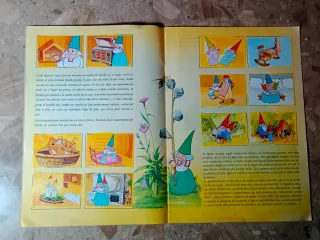 El libro de lisa.David el gnomo.