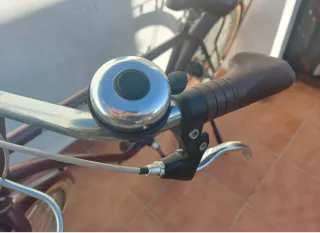 Bicicleta de paseo buen precio