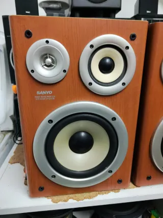 Altavoces Sanyo Marrones