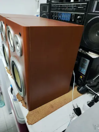 Altavoces Sanyo Marrones