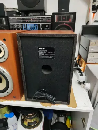 Altavoces Sanyo Marrones