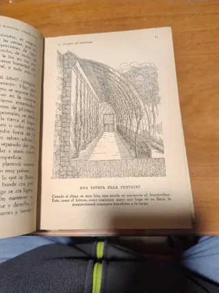 La riqueza en la mano el huerto de frutales