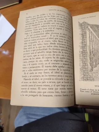 La riqueza en la mano el huerto de frutales