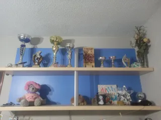 Dormitorio juvenil puente