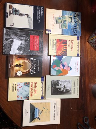 Lote libros, novela contemporánea.