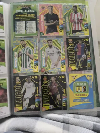 Álbum Adrenalyn XL 24-25