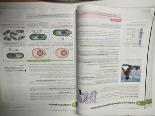 Biología y geología. 4 ESO. Savia