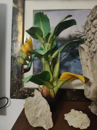 Platanera de Madera Decorativa