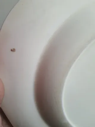 Piatto vintage Wedgwood floreale