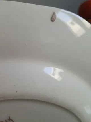 Piatto vintage Wedgwood floreale