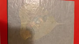 Foglie dipinte a mano