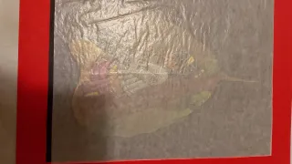 Foglie dipinte a mano