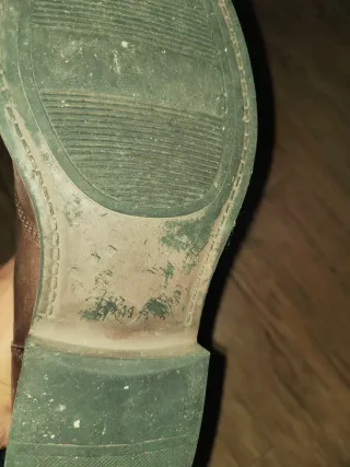 Stivali uomo Terra Blu marroni