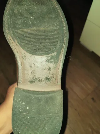 Stivali uomo Terra Blu marroni