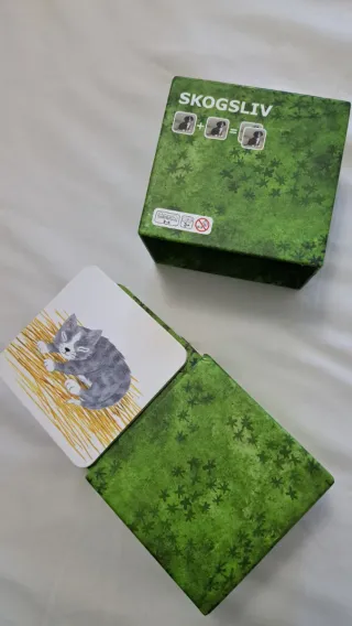 Juego de mesa SKOGSLIV IKEA