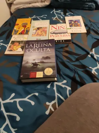 La reina oculta: Una dama. Dos rivales. Tres en...