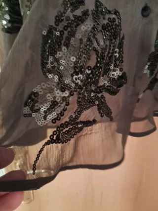 Blusa Zara lentejuelas y plumas