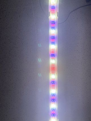 Pantalla LED Acuario Aquael