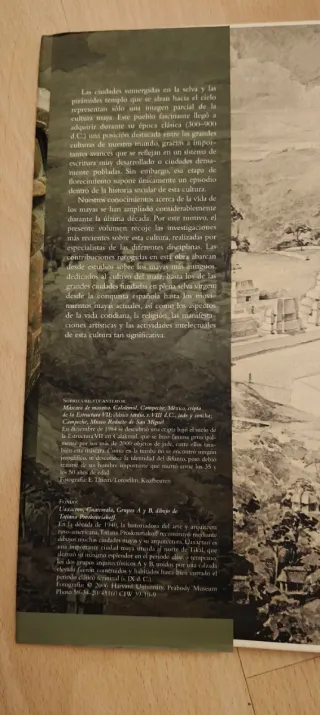 MAYAS,LOS.UNA CIVILIZACION MILENARIA.