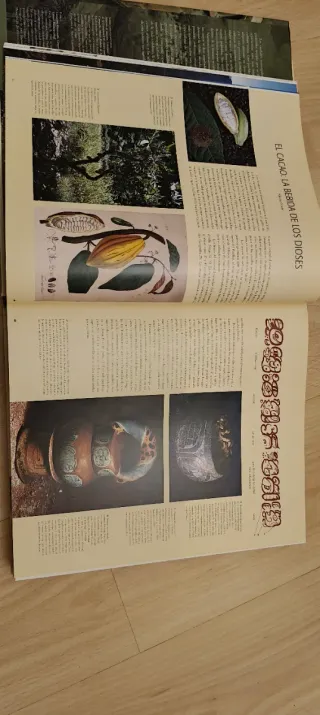 MAYAS,LOS.UNA CIVILIZACION MILENARIA.