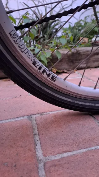 Bicicleta alemana para 10 años