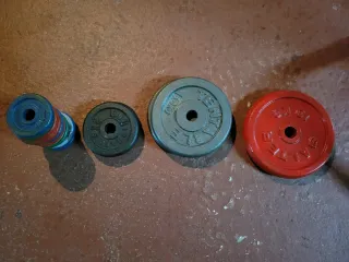 Discos de pesas variados