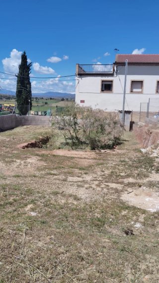 Me ofrezco para tareas de limpiza con desbrozadora