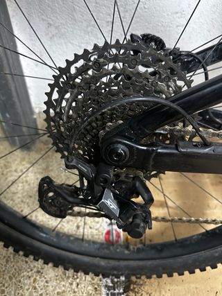 Orbea Rise H10 2022 talla l