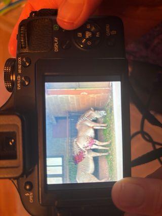 Cámara Panasonic FZ150 LUMIX Negra