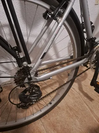 Bicicleta Megamo Tacama Plata