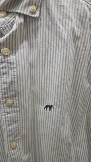 Camisa Sacoor Brothers Riscas Slim Fit Tamanho S