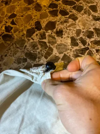 Pantalones Desigual Rectos Beige Sweet