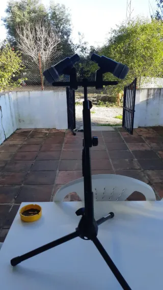 Trípode con jirafa y 2 micros