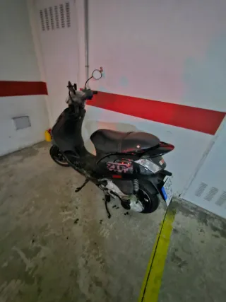 Zip 125