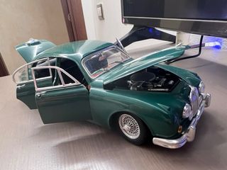 Jaguar 1/18